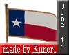 !K! Flag of Texas USA