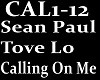SEAN PAUL- CALLING ON ME