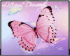 pink butterflis