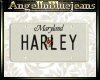 [AIB]Harley Licence Plat