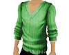 Pale Green Sweater/D04