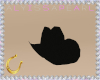 Wild West Cowboy Hat