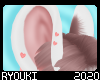 R| Hana Ears v2