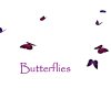 AV Butterflies