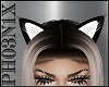 !PX ANIMATED CAT EARS