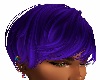 Tomboy Short Purple
