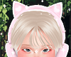 ♡ Headphone Cat