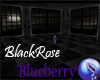 Blueberry SinglBlackRose
