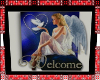 WELCOME ANGLE PICTURE 
