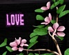 Love Chill