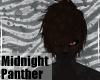 MidnightPanther-M HairV4
