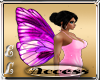 Butterfly Pink Wings