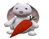 Easter bunny n carrot