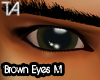 Brown Eyes M