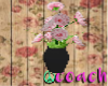 C| Black Vase