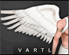 VT | Angs Wings