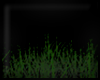 ✄ Swamp Grass