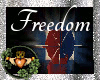~QI~ Freedom Fireworks