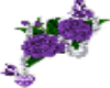 Purple rose boarder
