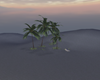 Tropical Blue Island