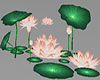 Lily Pads