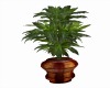 Elegant Carved Pot Plant