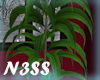 _S.C. Plant_