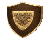 Shield medieval