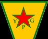YPG cutout