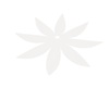 C- Celling White