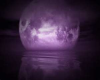 purple moon photoshoot