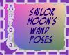 Sailor Moon's Wand poses