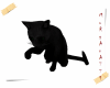 Black Cat (Anim.)