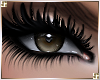 [MT] Kimbie - Brown Eyes