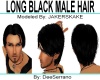 LONG BLACK MALE HAIR