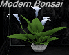 [bu]Modern Bonsai-Lily