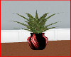Fern in Red vase
