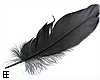 !EE♥ Feather Bk