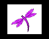 purple right dragonfly