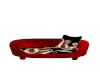 ♥KD DogBed