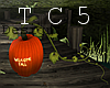 Welcome fall pumpkin