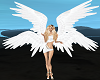 angel quad wings white
