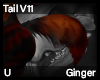 Ginger Tail V11