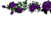 Juliet Purple Flowers