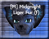[M] Midnight Liger Fur