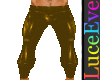 Gold PVC Pants