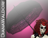 !! [DW] Umbrella Katrina