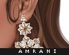 A. Exclusive Earrings