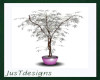 Silver Leaf Tree Plant