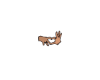 Love Sign